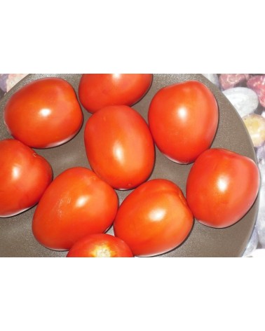 Semillas de Tomate "Rio Grande"