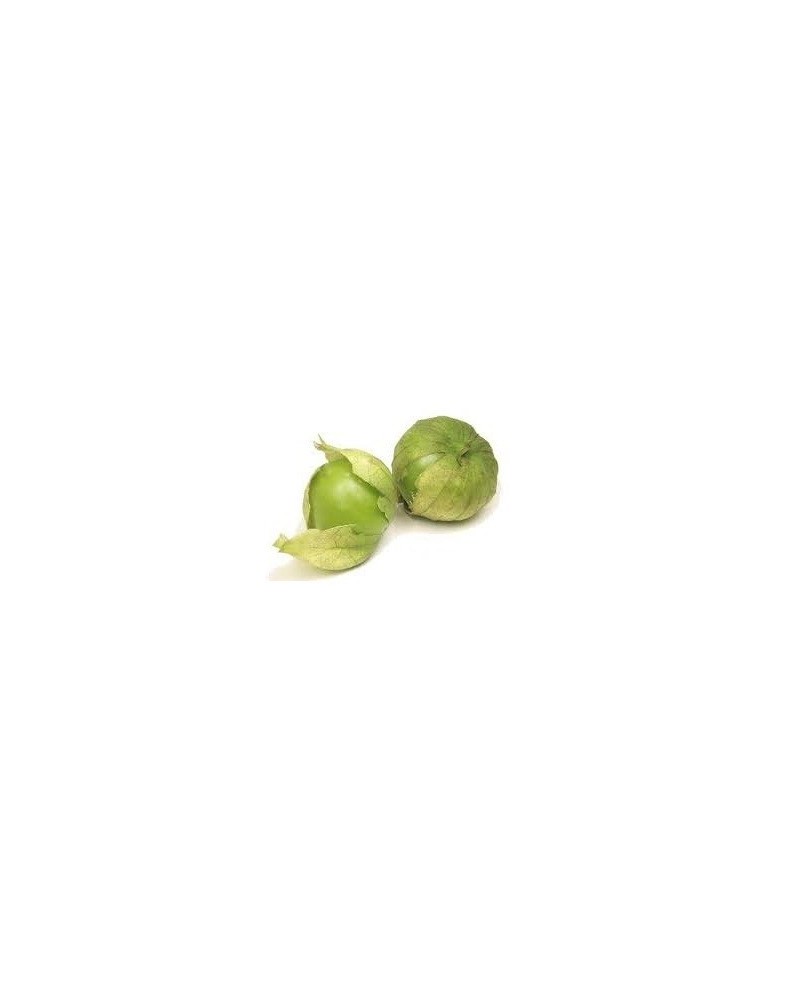 Semillas de Tomatillo Verde (Physalis ixocarpa)