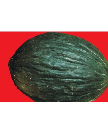 Semillas de Melón "tendral" verde (Cucumis Melo)