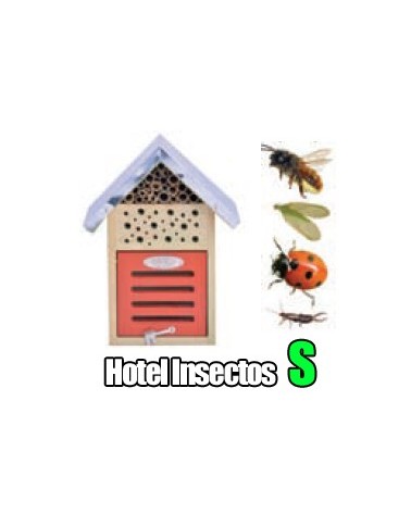 Hotel Insectos M