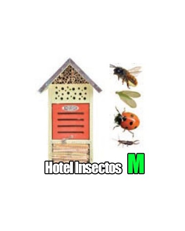 Hotel Insectos M