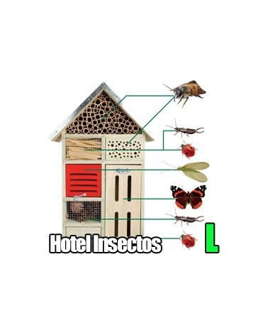 Hotel Insectos L