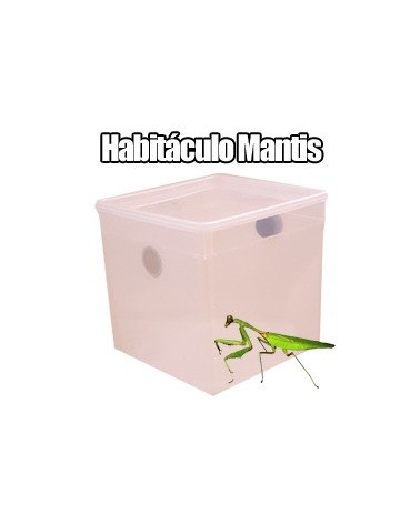 Habitáculo Mantis