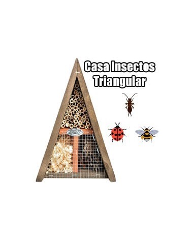 Casa insectos triangular